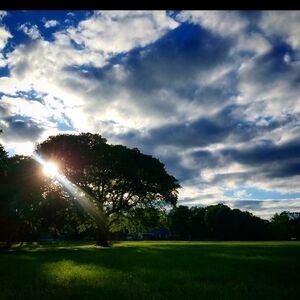 FEEL FREE TO MAKE RESONABLE OFFERS!!!!